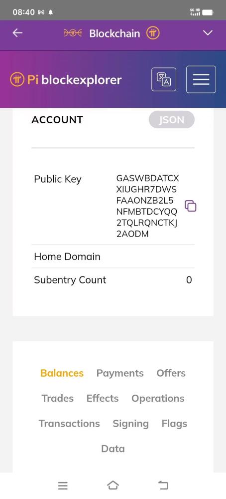 Pi项目动态：主网开放，中文区唯一交易所GATE，未来潜力与风险并存