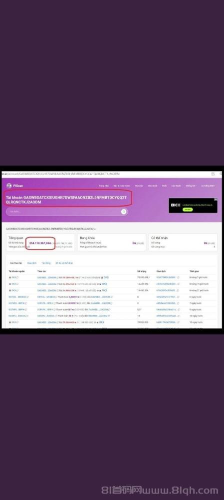 Pi项目动态：主网开放，中文区唯一交易所GATE，未来潜力与风险并存