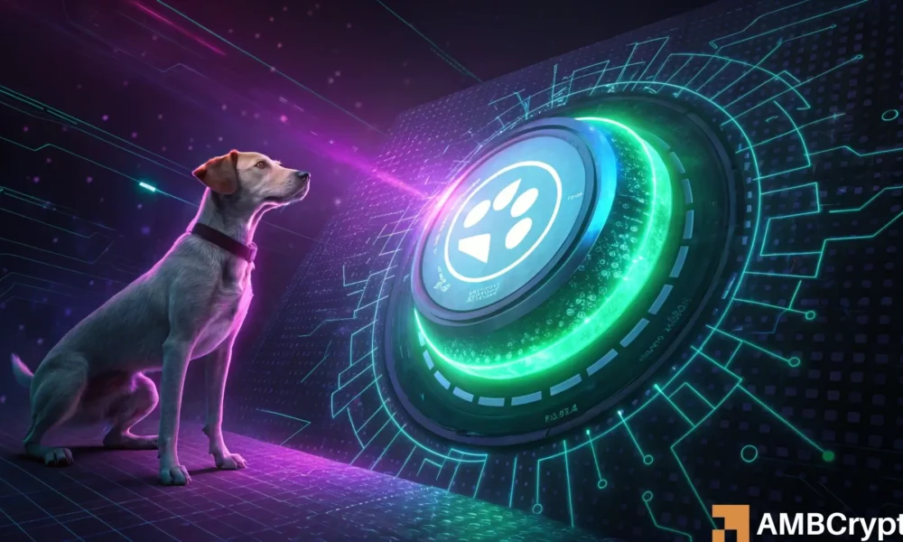 dogwifhat:如何从 WIF 下跌 24% 中获利 dogwifhat:如何从 WIF 下跌 24% 中获利