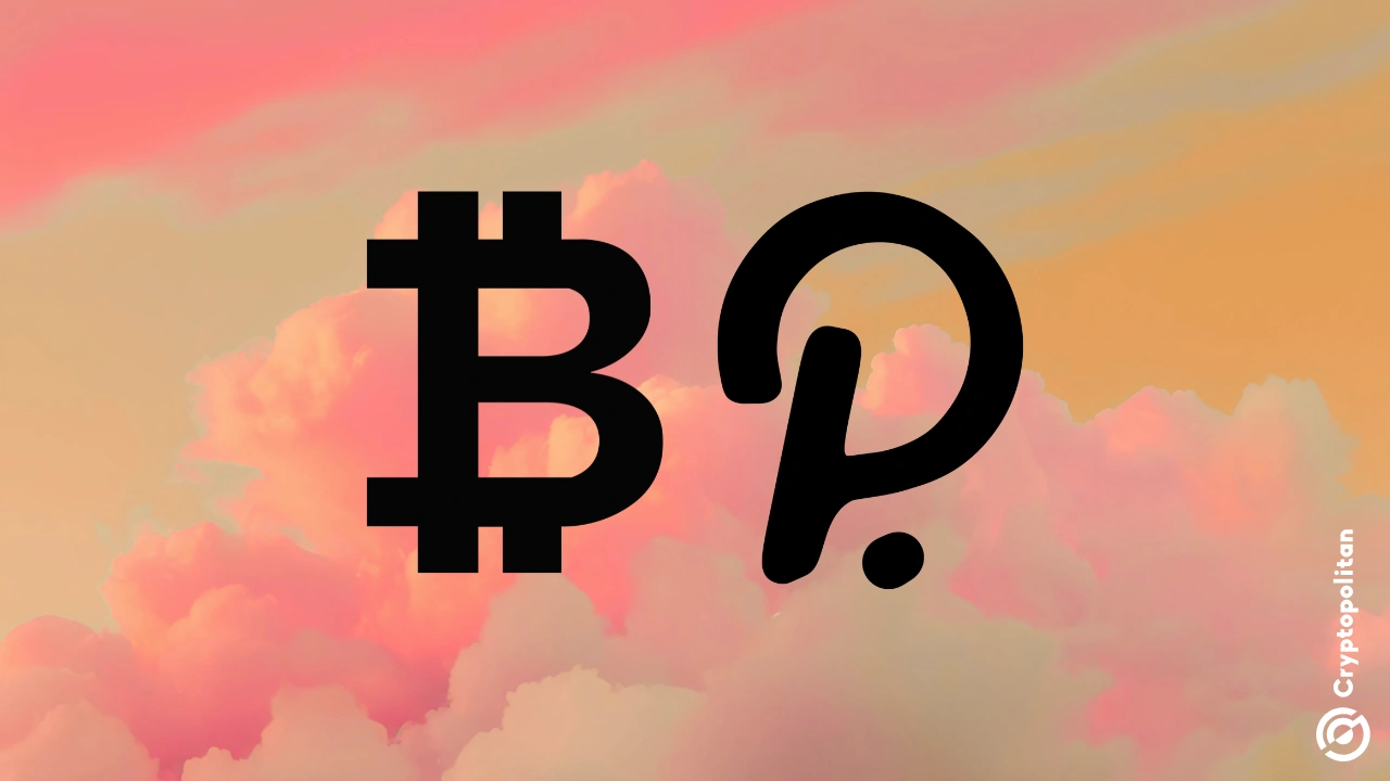 Polkadot 社区成员将比特币作为财政稳定策略 Polkadot 社区成员将比特币作为财政稳定策略